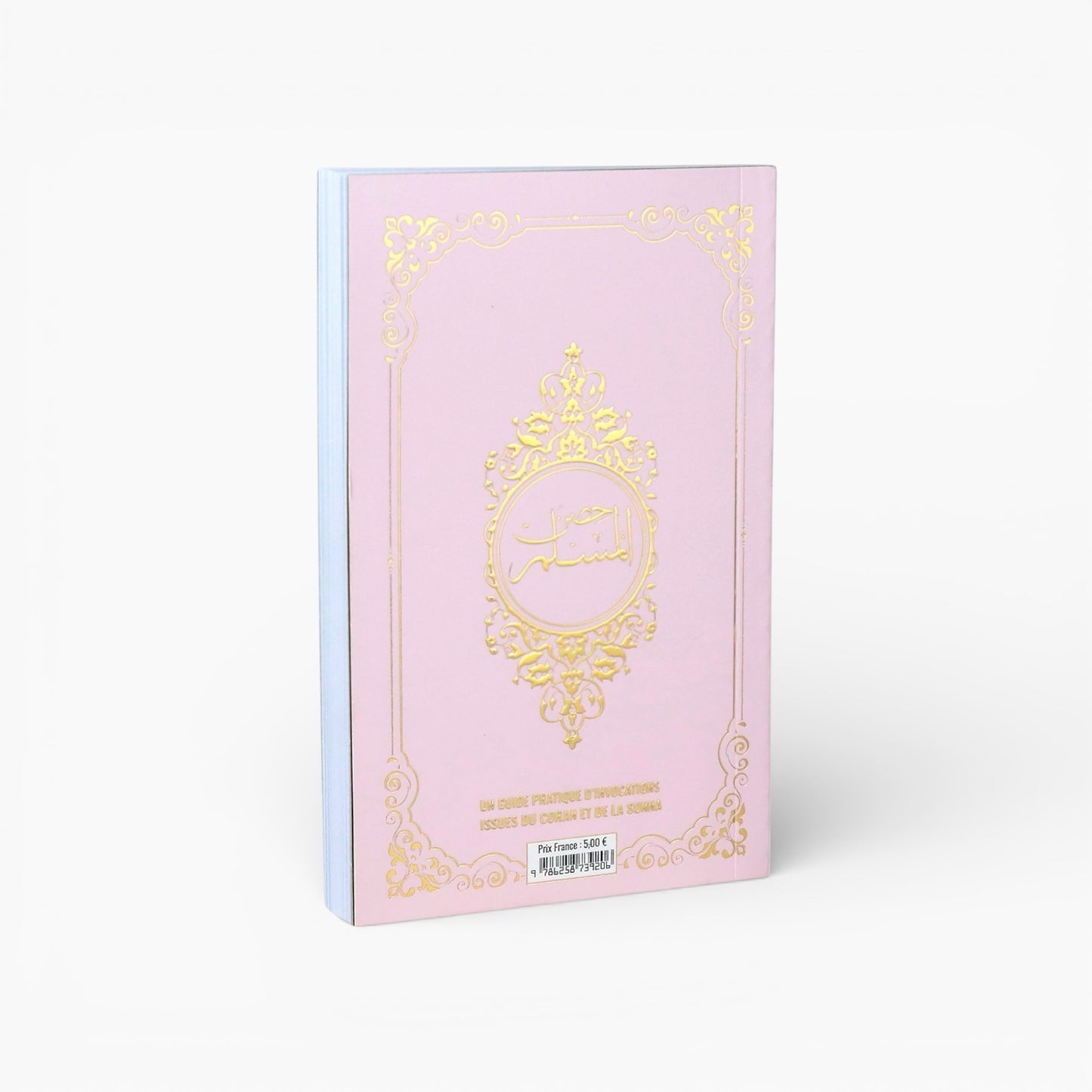 Citadelle du musulman rose